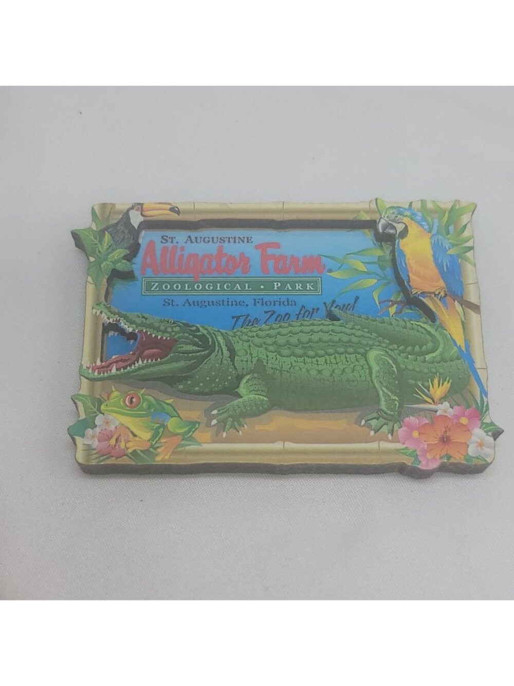 St. Augustine Alligator Farm Magnet 3D Zoo Focus On Souvenirs Made In Canada